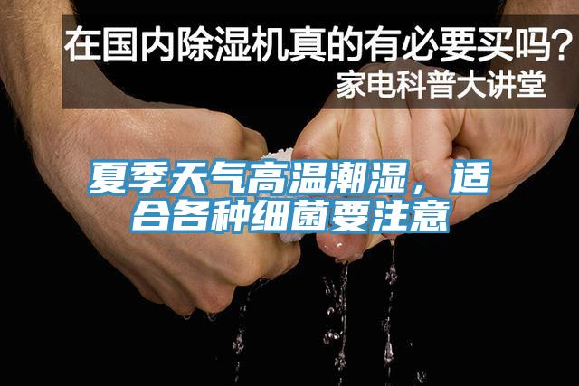 夏季天氣高溫潮濕，適合各種細菌要注意