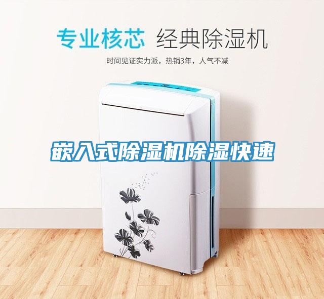 嵌入式91看片网站除濕快速
