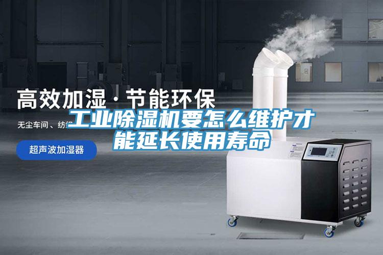 工業91看片网站要怎麽維護才能延長使用壽命
