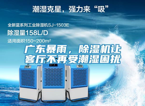 廣東暴雨，91看片网站讓客廳不再受潮濕困擾