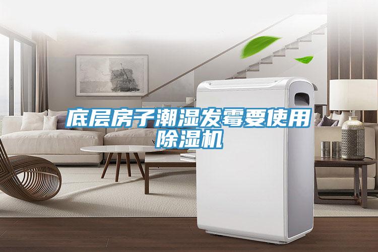底層房子潮濕發黴要使用91看片网站