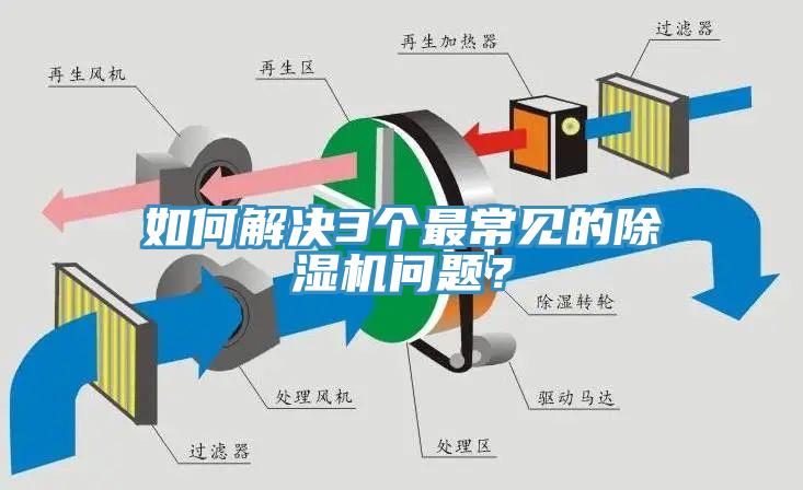 如何解決3個最常見的91看片网站問題？