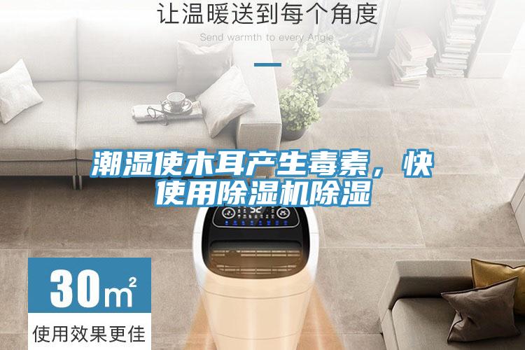潮濕使木耳產生毒素，快使用91看片网站除濕