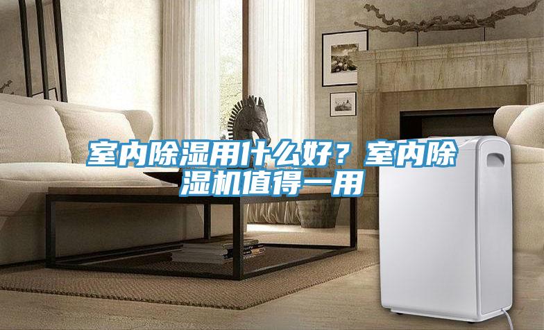 室內除濕用什麽好？室內91看片网站值得一用