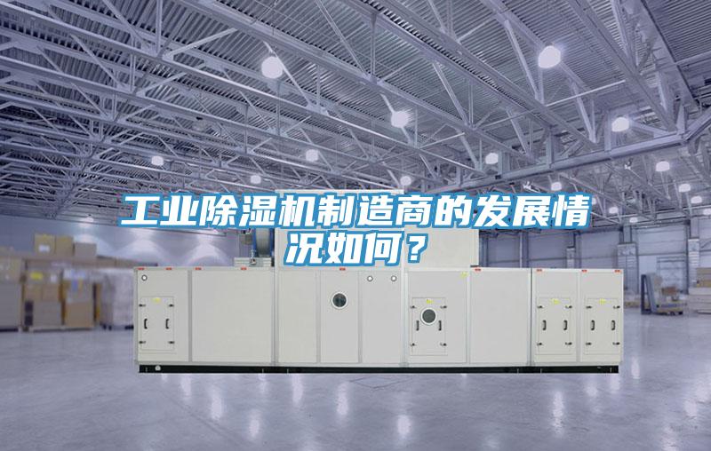 工業91看片网站製造商的發展情況如何？