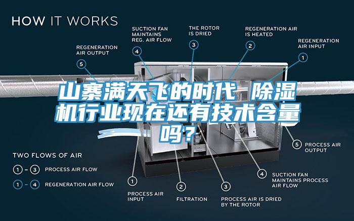 山寨滿天飛的時代 91看片网站行業現在還有技術含量嗎？