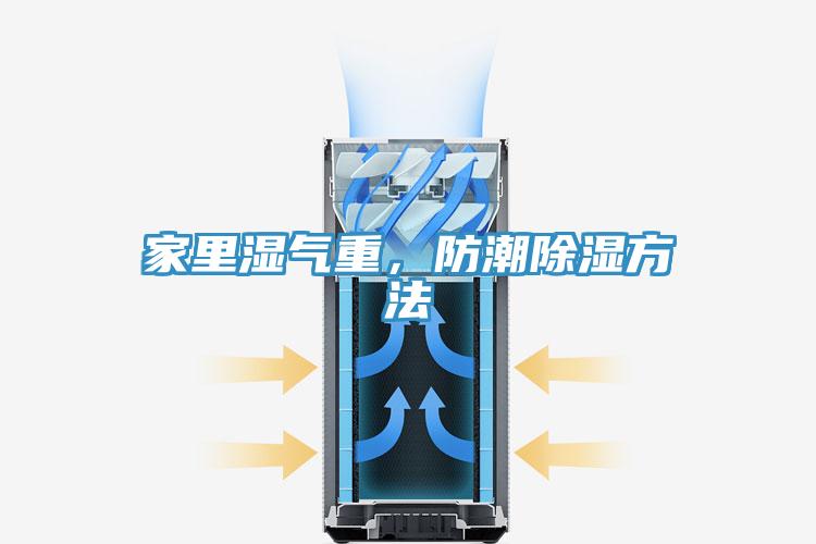 家裏濕氣重，防潮除濕方法