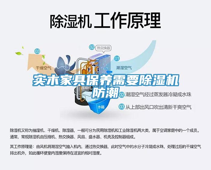 實木家具保養需要91看片网站防潮