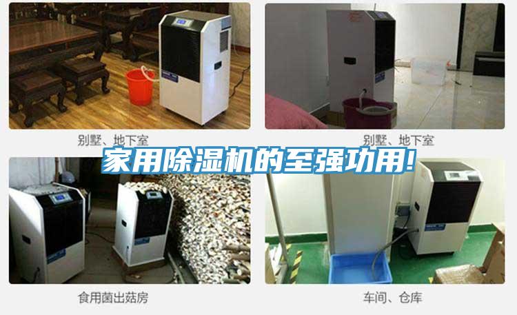 家用91看片网站的至強功用!