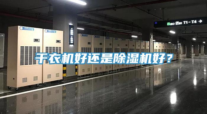 幹衣機好還是91看片网站好？