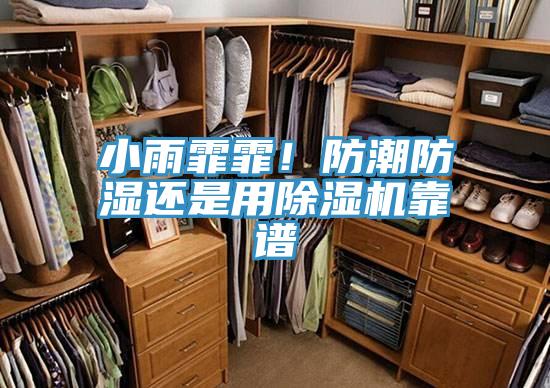 小雨霏霏！防潮防濕還是用91看片网站靠譜