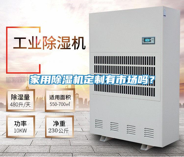 家用91看片网站定製有市場嗎？