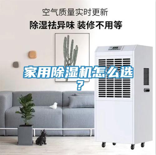 家用91看片网站怎麽選？