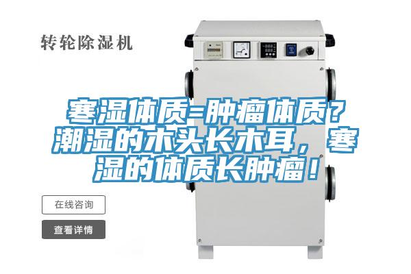 寒濕體質=腫瘤體質？潮濕的木頭長木耳，寒濕的體質長腫瘤！