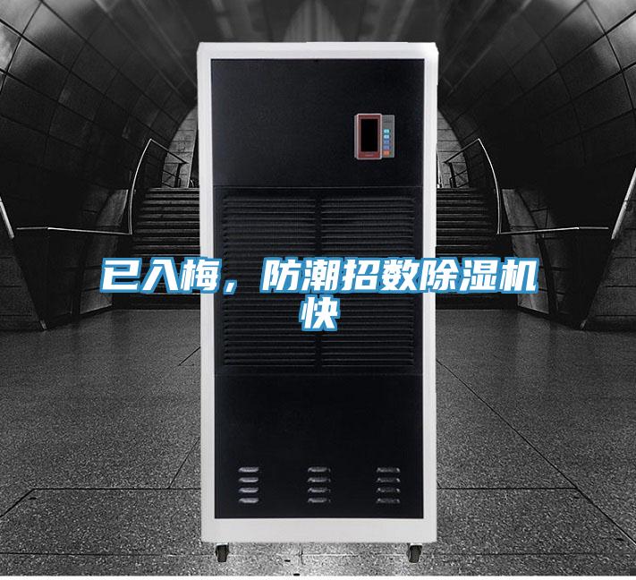 已入梅，防潮招數91看片网站快