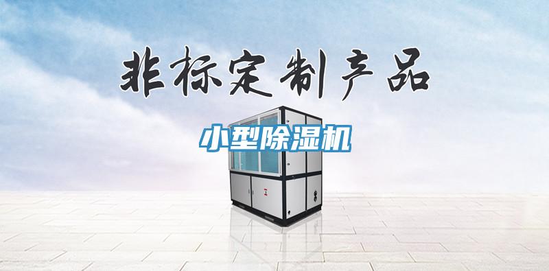 小型91看片网站