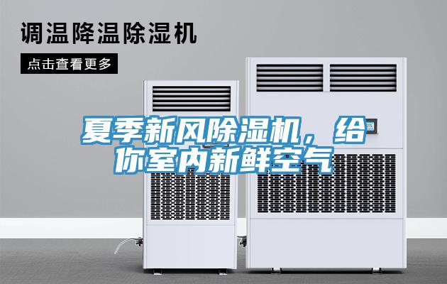 夏季新風91看片网站，給你室內新鮮空氣