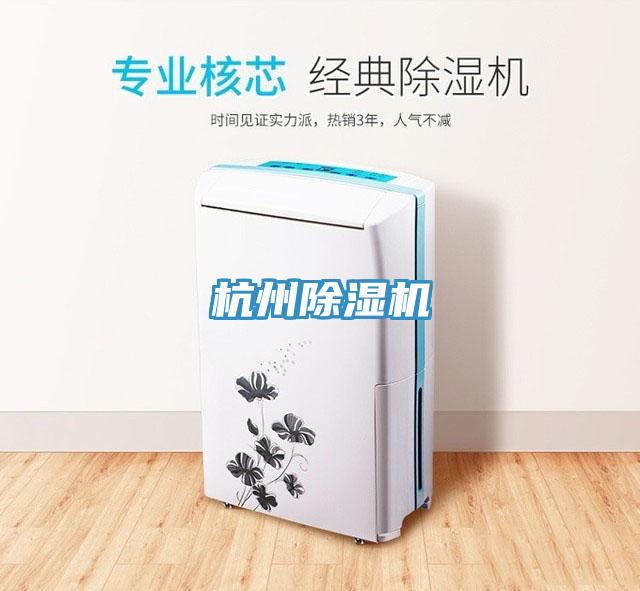 杭州91看片网站