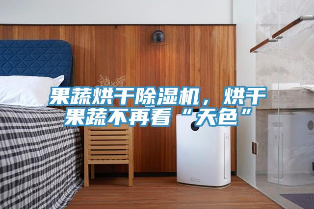果蔬烘幹91看片网站，烘幹果蔬不再看“天色”