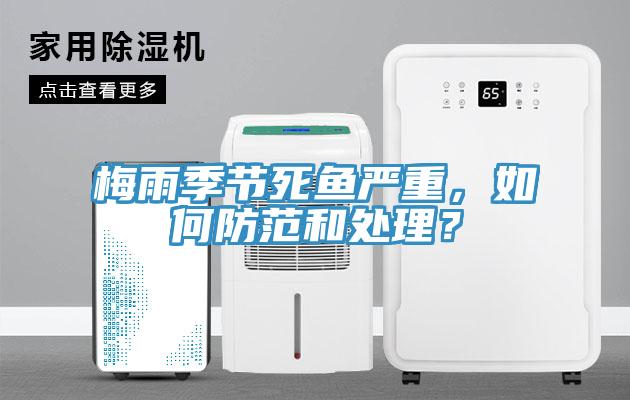 梅雨季節死魚嚴重，如何防範和處理？