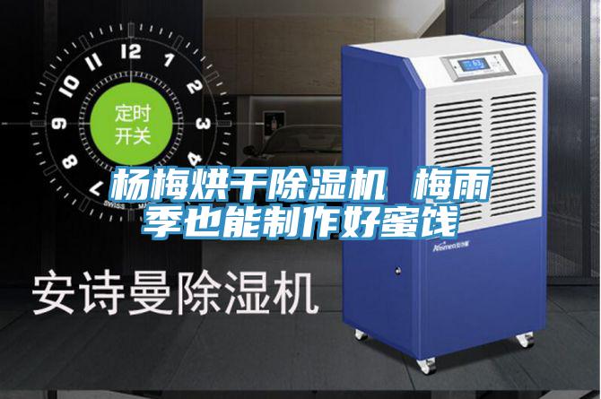 楊梅烘幹91看片网站 梅雨季也能製作好蜜餞