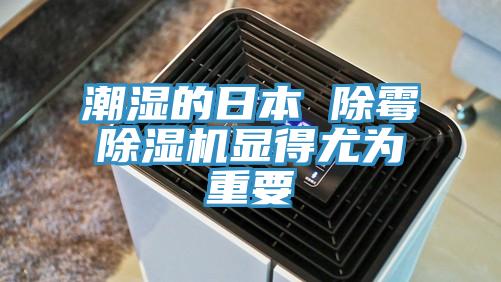 潮濕的日本 除黴91看片网站顯得尤為重要