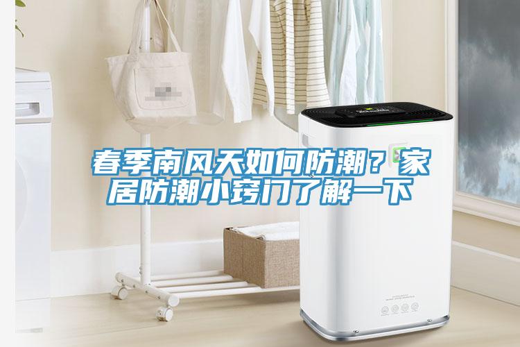 春季南風天如何防潮？家居防潮小竅門了解一下
