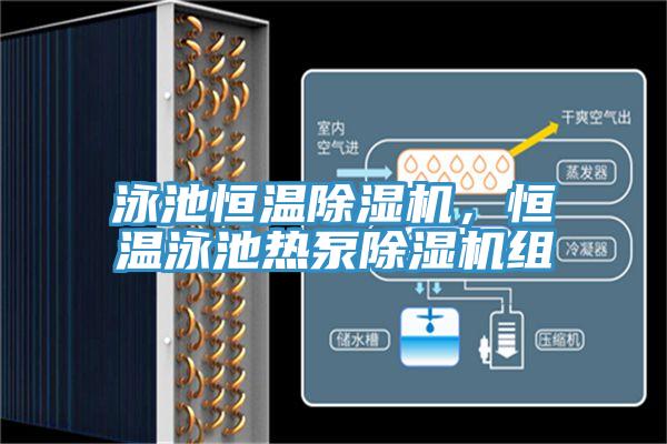泳池恒溫91看片网站，恒溫泳池熱泵91看片网站組