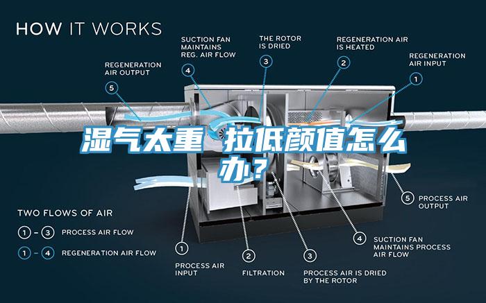 濕氣太重 拉低顏值怎麽辦？