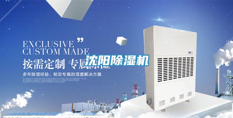 沈陽91看片网站