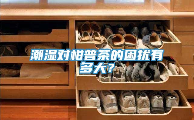 潮濕對柑普茶的困擾有多大？