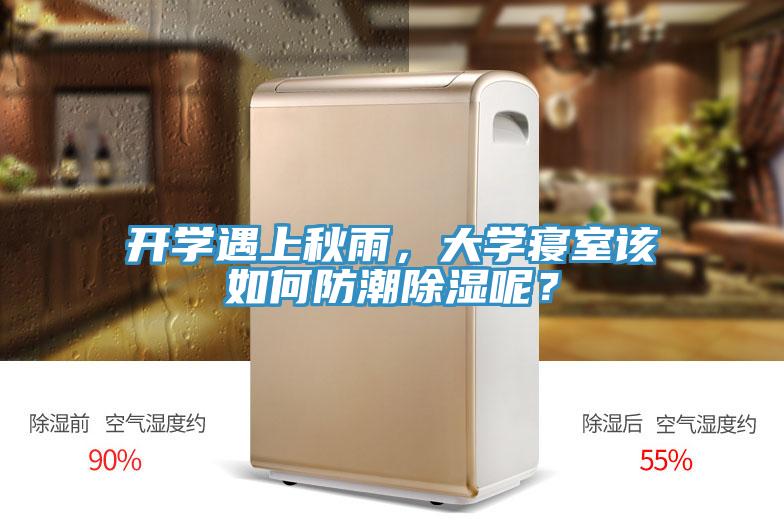 開學遇上秋雨，大學寢室該如何防潮除濕呢？