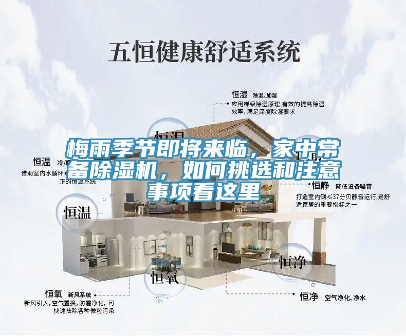 梅雨季節即將來臨，家中常備91看片网站，如何挑選和注意事項看這裏