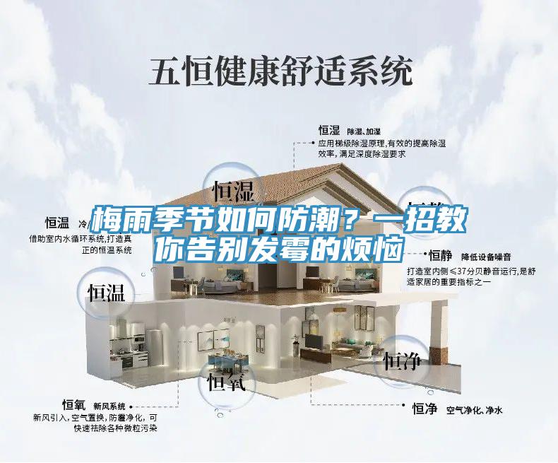 梅雨季節如何防潮？一招教你告別發黴的煩惱