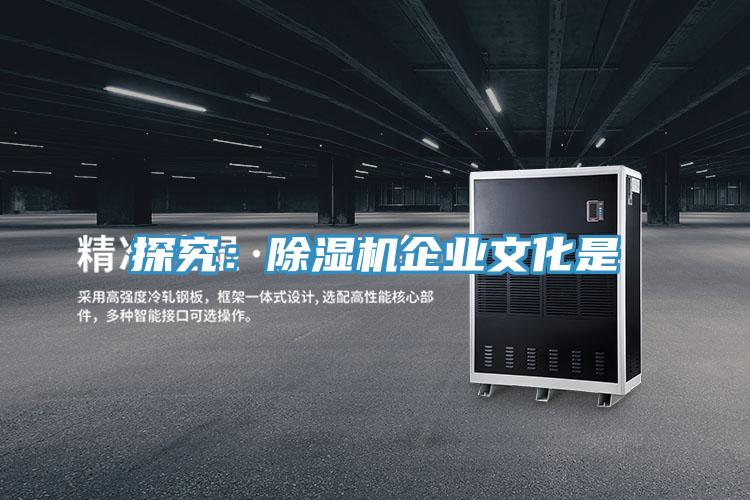 探究：91看片网站企業文化是