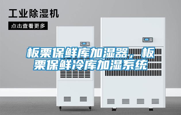 板栗保鮮庫加濕器，板栗保鮮冷庫加濕係統