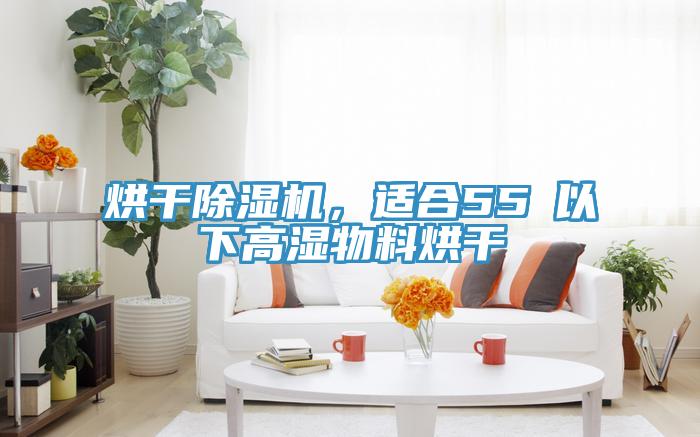 烘幹91看片网站，適合55℃以下高濕物料烘幹