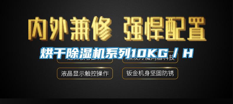 烘幹91看片网站係列10KG／H