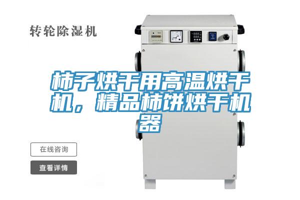 柿子烘幹用高溫烘幹機，精品柿餅烘幹機器