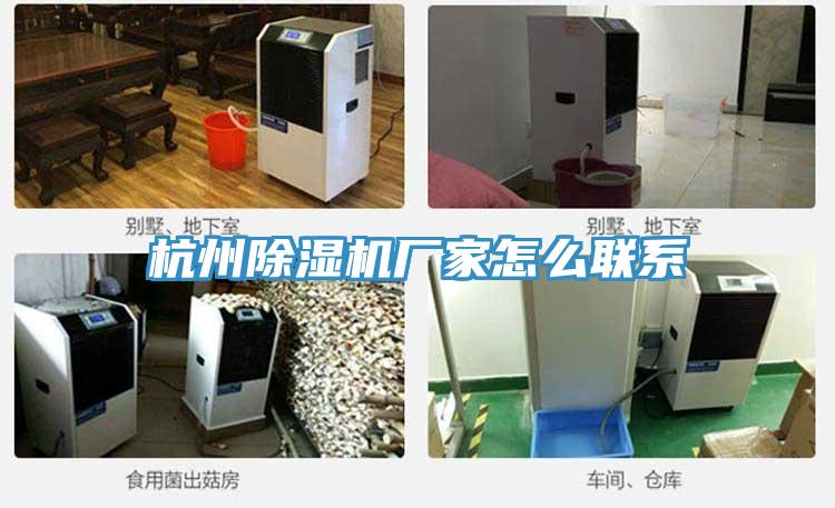 杭州91看片网站廠家怎麽聯係