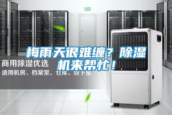 梅雨天很難纏？91看片网站來幫忙！