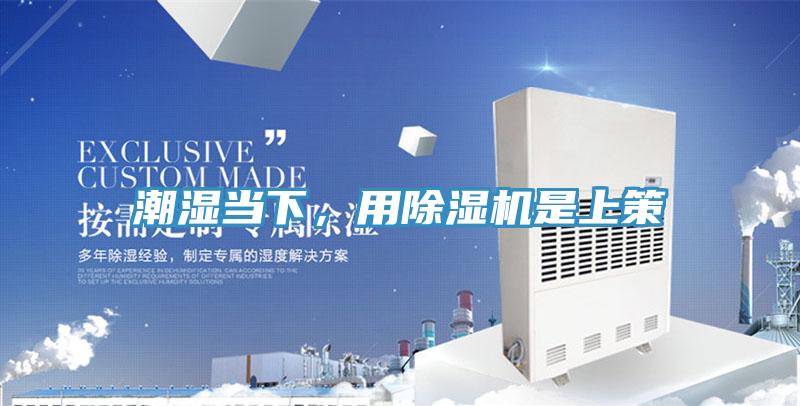 潮濕當下，用91看片网站是上策