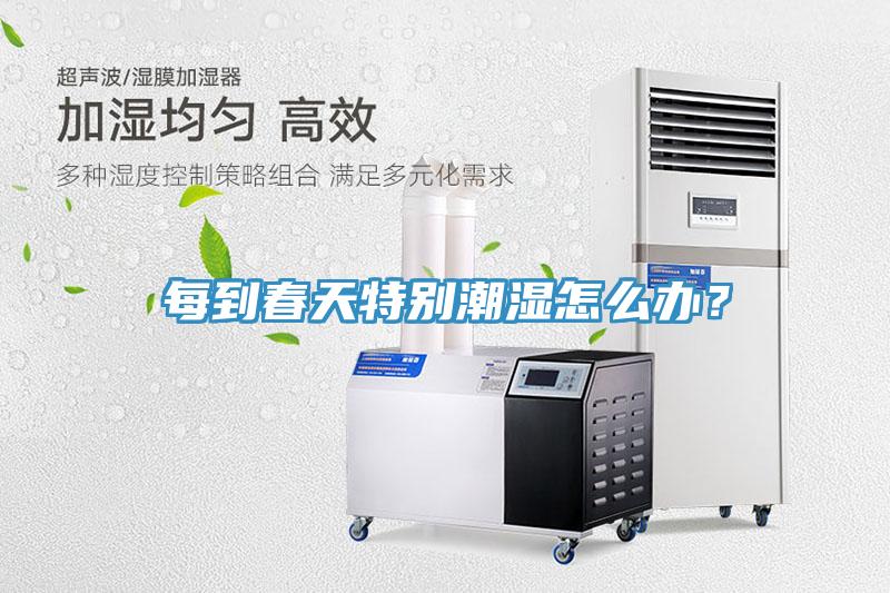 每到春天特別潮濕怎麽辦？