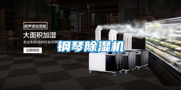 鋼琴91看片网站