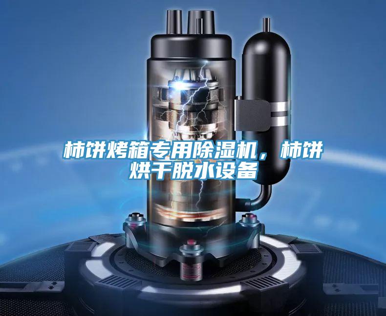 柿餅烤箱專用91看片网站，柿餅烘幹脫水設備