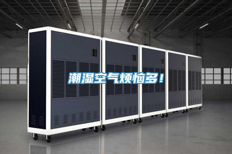 潮濕空氣煩惱多！