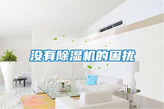 沒有91看片网站的困擾
