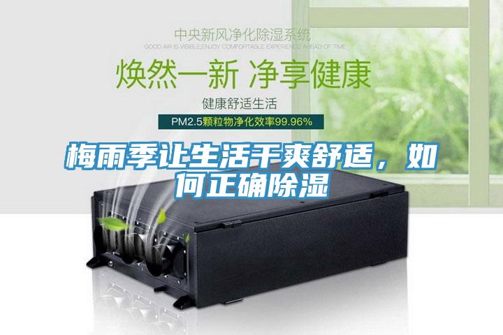 梅雨季讓生活幹爽舒適，如何正確除濕
