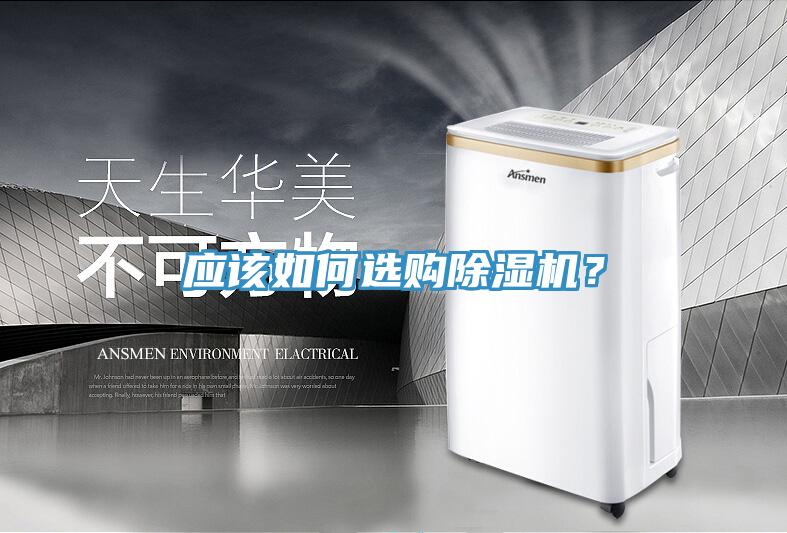 應該如何選購91看片网站？