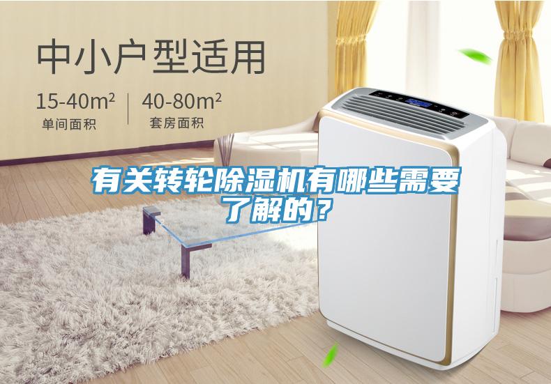 有關轉輪91看片网站有哪些需要了解的？